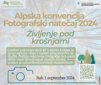 Alpska konvencija razpisuje fotografski natečaj 2024 – Življenje pod krošnjami